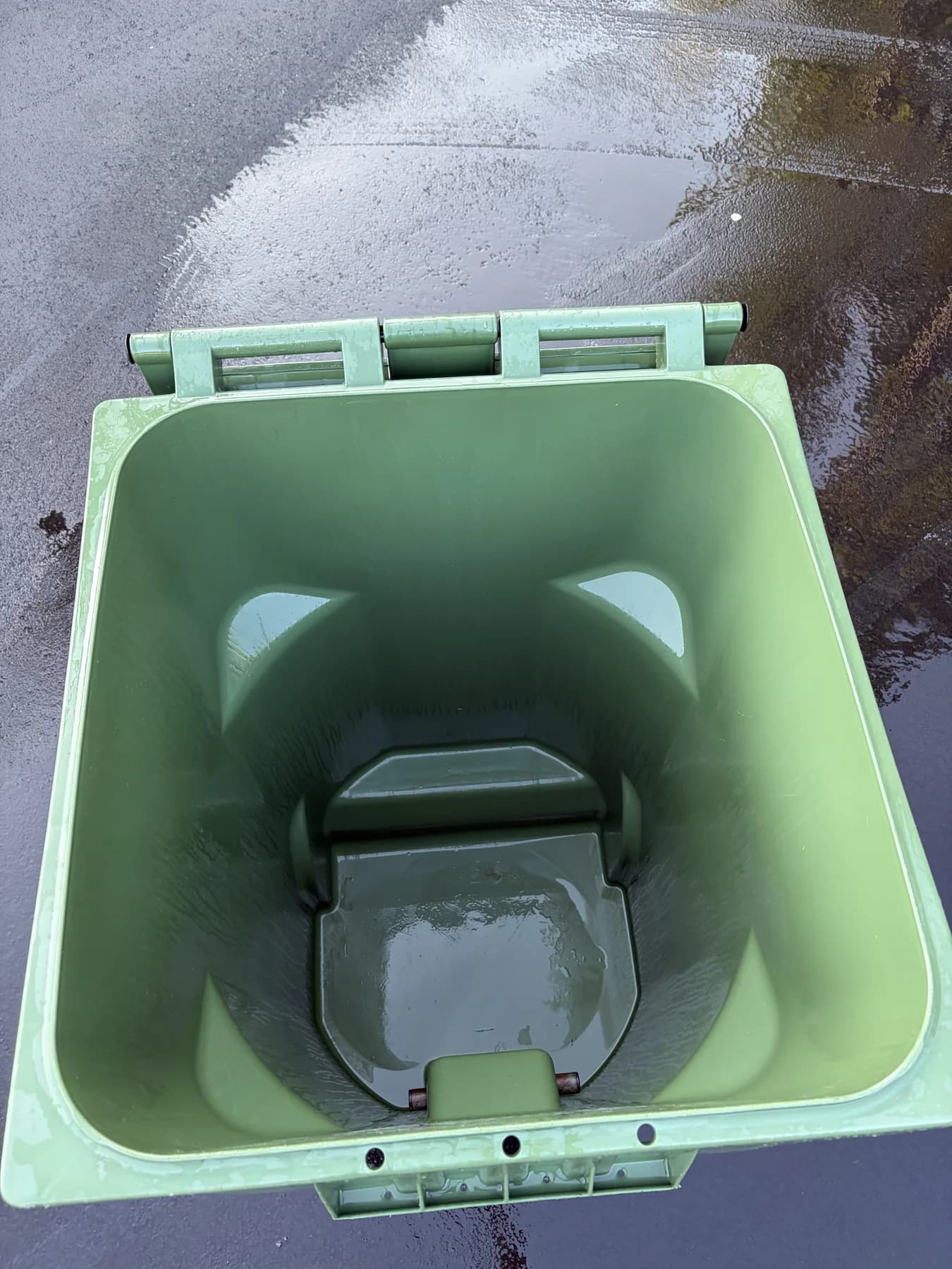 Green residential bin after cleaning